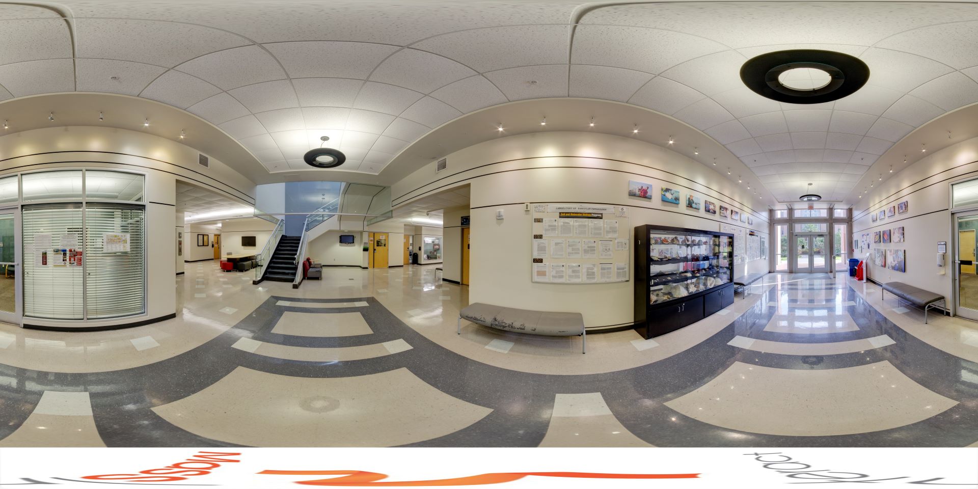 F. W. Olin Life Sciences lobby - view of a staircase 